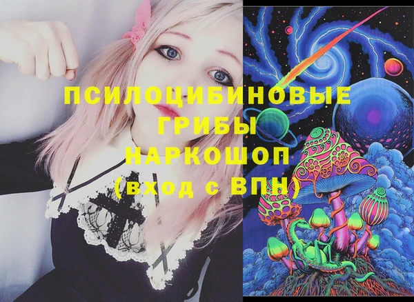 герыч Няндома