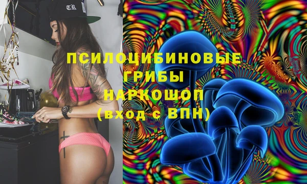 мяу мяу мука Нягань