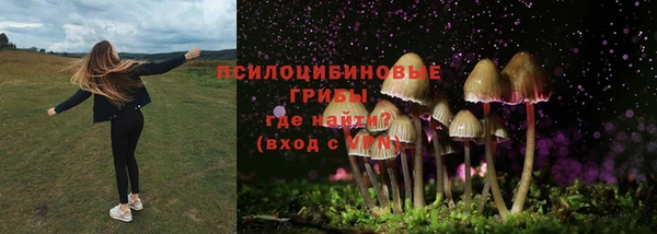 мяу мяу мука Нягань