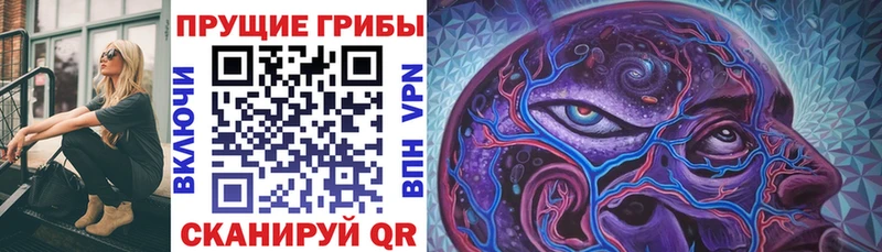 Псилоцибиновые грибы прущие грибы  Купить  Тутаев 