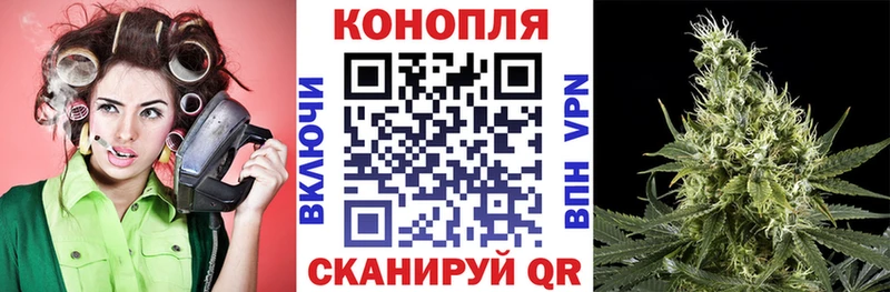 Канабис VHQ Купить где Тутаев